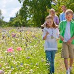 Short Trips and Nature Outings Perfect for Families