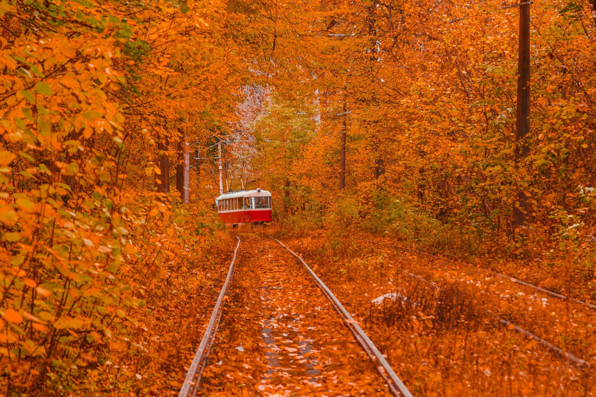 Weekend Trips to Enjoy Fall Colors