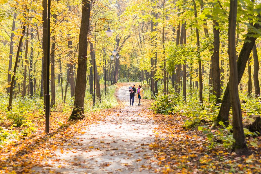 Must-Visit Illinois State Parks for Nature Lovers