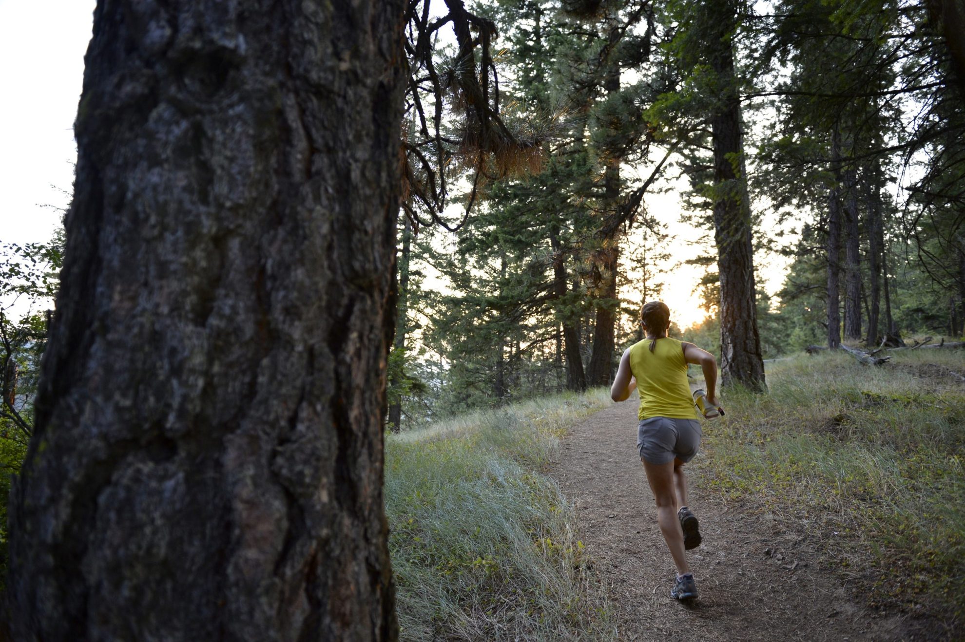 Trail Running Tips and Safety in Local Parks