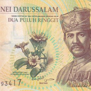 Brunei 20 Ringgit 2007