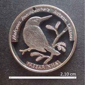 Cape Verde Passarinha