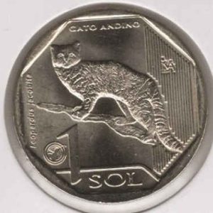 Peru 1 Sol 2019 Mountain Cat