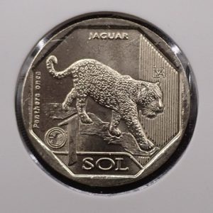 Peru 1 Sol 2018 Jaguar