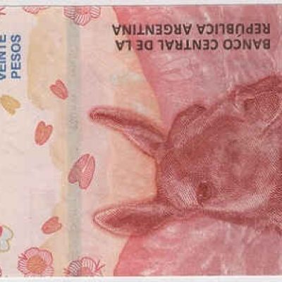 Argentina_20-Pesos_ND2017_P361_a.jpg