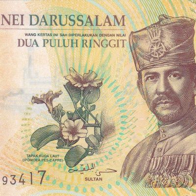Brunei_20-Ringgit_2007_P24A_a.jpg