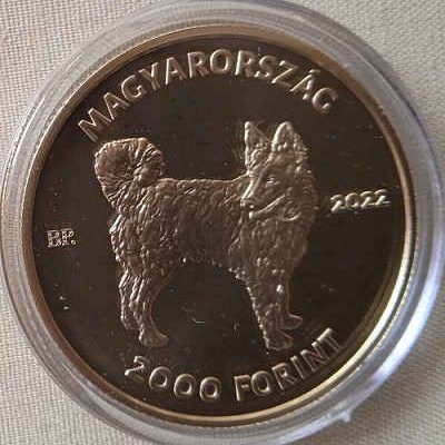 Hungary_2000-Forint_2022_Mudi-Hungarian-herding-dog-_a.jpg